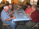 Playing Dominos
